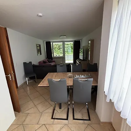 Schoene Grosse 4,5 Mit Terrasse, Zentrumsnah Lejlighed