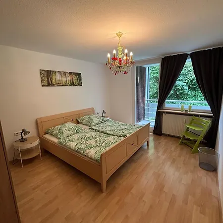 Schoene Mit Terrasse, Zentrumsnah Apartment *